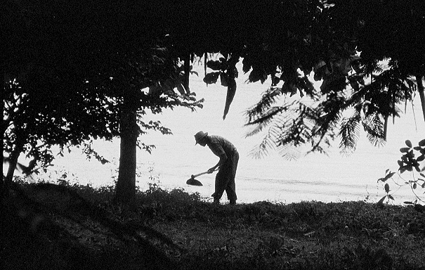 go to the next photo