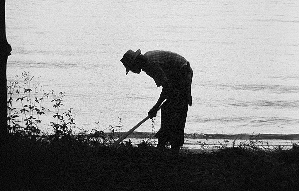 go to the next photo